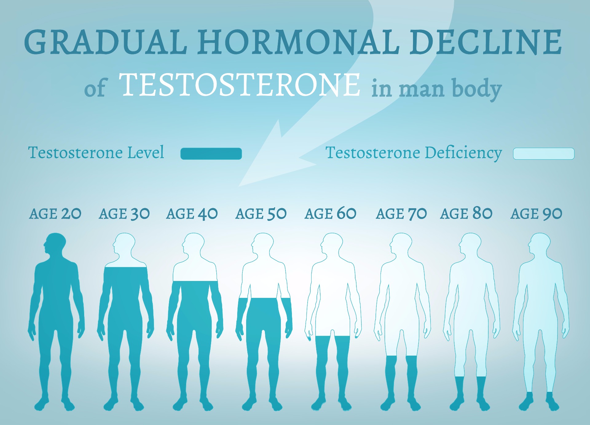 Testosterone Levels By Age In Men