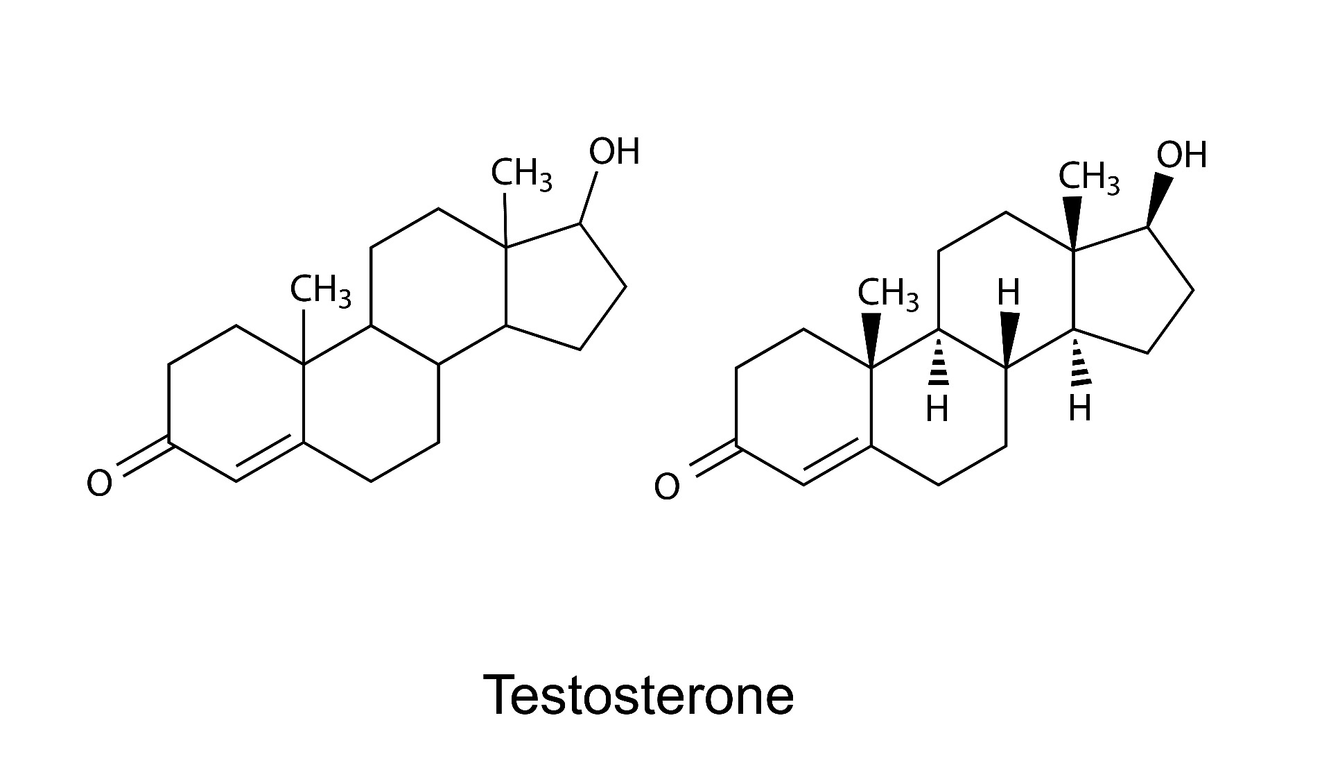 Structural Formula Of Testosterone